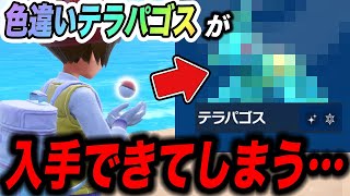 【注意喚起】絶対受け取るな！現在伝説ポケモンの色違い個体が入手できてしまう件が衝撃的だった！！！！【ポケモンSV】【藍の円盤/碧の仮面】【ポケットモンスタースカーレットバイオレット】【はるかっと】