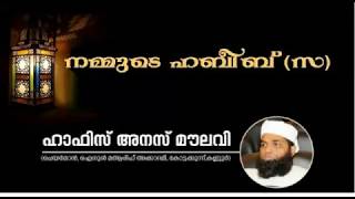 നമ്മുടെ ഹബീബ് (സ) | Hafiz Anas Moulavi