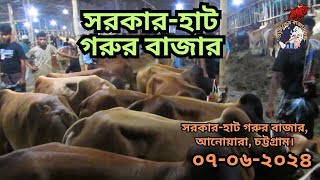 সরকারহাট গরুর বাজার।। আনোয়ারা, চট্টগ্রাম।।৭/৬/২০২৪ইং।। রোজ শুক্রবার।। নতুন ভিডিও ২০২৪।।