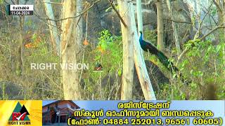 ചേലക്കര::ചുറ്റിലും തീ പടർന്നു പിടിക്കുമ്പോൾ എന്തു ചെയ്യും എന്നറിയാതെ നിൽക്കുന്ന മയിലിന്റെ ദൃശ്യങ്ങൾ