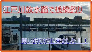 【ハゼ釣り】江戸川放水路にて桟橋釣り