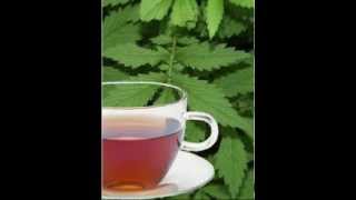 Agrimony Herb Tea Health Benefits