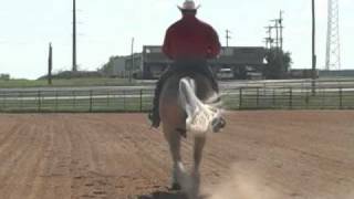 Carol Rose Ranch Video - Jay McLaughlin on Shining Spark