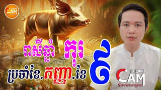 រាសីអ្នកឆ្នាំ កុរ🐷 ប្រចាំខែកញ្ញា (ខែ៩) រាសីពីដើមខែដល់ចុងខែ ជួបរឿងអ្វីខ្លះ | Khmer Daily Horoscope