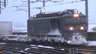 【雪の中を走行！】EF510-502 ????レ 貨物列車 富山駅通過