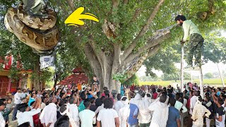 बाबा विश्वकर्मा मंदिर के वट वृक्ष पर जब अचानक दिखा बड़ा अजगर सांप जकड़ लिया पैर में, फिर क्या हुआ.!😱
