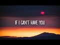 Shawn Mendes - If I Can't Have You (Lyrics)