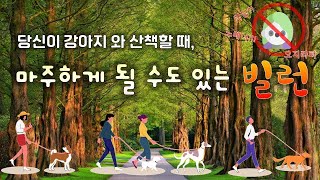 강아지 산책시 마주할 수 있는 5대 빌런들!!!