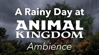 Rainy Day at Animal Kingdom Ambience | Disney World Animal Kingdom Tree of Life Ambience