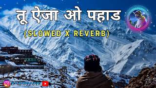 Tu Ae Ja Au Pahad (Slowed + Reverb) || Uttrakhandi Instagram Viral Song || @pahadilofi