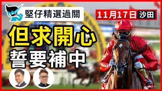 【堅仔精選過關】(11月17日)  但求開心 誓要補中｜賽馬貼士​​​​​​​｜賽馬賠率​​​​​​​​​​​​​​​​​​​｜沙田日賽