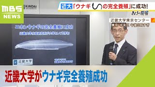 近畿大学がウナギ完全養殖成功　大学は『50年前に頓挫』『ウナギ味のナマズ』の歴史も（2023年10月26日）