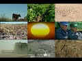 climate change hits home agricultural loss