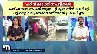 എഞ്ചിനീയറിംങ് കോളേജിലെ പഠിപ്പ് മുടക്കിയ പട്ടികൾ | Thalsamayam Reporter | Mathrubhumi News