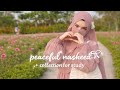 Peaceful Nasheeds Collection For Study 🎶🌟 | Trending Nasheeds of 2026 