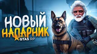 ВЗЯЛ СОБАКУ К9 для РАБОТЫ в LSPD ПОХИТИЛИ ЗАМ ШЕФА ПОЛИЦИИ ГТА 5 РП | GTA 5 RP