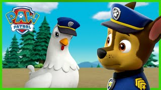 小砾和咕咕鸡互换身体！- PAW Patrol 汪汪队立大功 - 儿童卡通