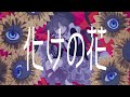 化けの花 covered by楽子叶 utau