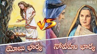 నోవహు మరియు యోబు భార్యల మధ్య వ్యత్యాసం // Difference between wives of noah \u0026 job // PROJECT BIBLE