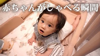 【生後１０ヶ月】 赤ちゃんがしゃべった！？ / The moment a baby talks👶✨