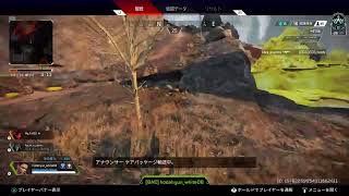 貴島明日香さんとコラボするまで終われないApex配信　＃74　ランクペンヒョンコラボ