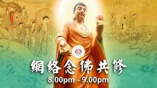 【同步】净土宗网络念佛【第322天】 + 开示视频《念佛安心》 2021-02-02 Online Recitation Session（晚上8pm-9pm (GMT+8))【打开CC字幕】