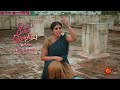 singappenne promo 20 nov 2024 tamil serial sun tv