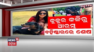 କୁକୁର କଳି ପାଇଁ ଚାଲିଗଲା ସାଂସଦ ପଦ? Mahua Moitra expelled from Lok Sabha | Odia News