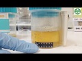 Acro Biotech, Inc - Multi Drug 1 Step Cup Demonstration