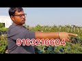 অনলাইন বনসাই নার্সারি ভ্রমন online bonsai nursery tour shree sanjiban