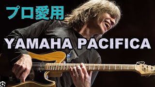 プロ愛用のパシフィカはこれ。初心者からプロまでに選ばれる「YAMMAHA PACIFICA」【ギターバイヤー増田】