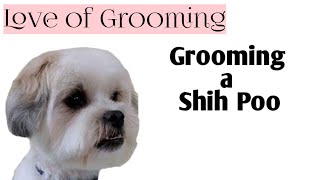 How to Trim a Shih-Poo's Head