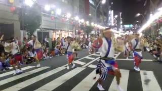 2016年第32回南越谷阿波踊り 朝日さわやか連