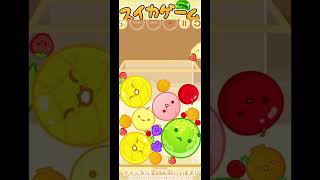 ［スイカゲーム］スマホ版のスイカゲームやってみた！　#644