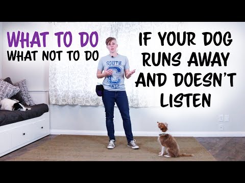 Will dogs come back if they run away?
