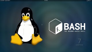 Linux Bash Commands - Basics