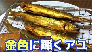 獲れたアユを燻製にしてみたら光り輝く金色になった！？