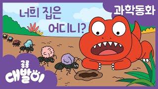 과학동화 04화 | 너희 집은 어디니? | 생명과학 - 동물의 집 | 공룡 대발이 | 대발이TV