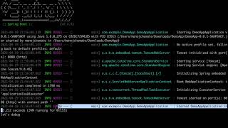 How To Debug Remote Java or Spring Boot WebApplication In IntelliJ?