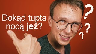 Pytania, na które NIKT nie zna odpowiedzi!