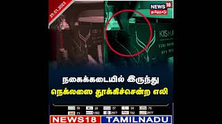 #RatThief | நகைக்கடையில் நெக்லசை திருடும் ’எலி திருடன்’ | Rat Stealing Jewel | Jewellery Theft