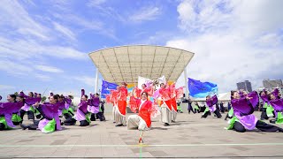 [4K] 佛教大学よさこいサークル紫踊屋　Sailing KOBE 2022 (前方)