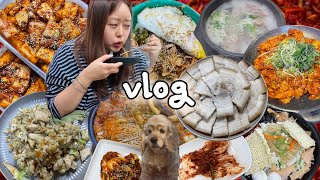 [먹방vlog] 김장 했는데 통삼겹 수육이 빠지면 되겠어요?🥩+식단을 가장한 폭식브이로그 (김장김치,보쌈,즉석떡볶이,컵누들 잡채밥,닭갈비,닭가슴살 볶음밥,순대국,석박지,햄버거)