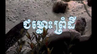 ជម្លោះ​ព្រំដី