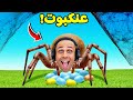 دورة حياة العنكبوت | Nature And Life - Drunk On Nectar !! 🕷🕸