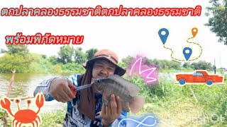 ตกปลาคลองธรรมชาติ# ปลานิลไซส์สวยๆก็มา( คลองใหม่บางปะกง)🎣🐟🐟