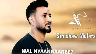 Sinishaw Muleta - Wal Nyaannaaree ? - New Ethiopian Oromo Music 2024 (Official Video)