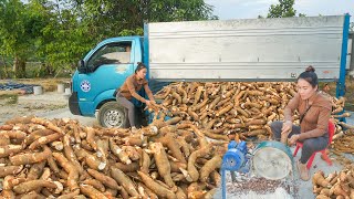 Use Truck To Buy Cassava From Farmers GO To Sell - Selling jackfruit wood. My Farm / Đào