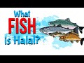 What Animals are Halal to Eat? - Islamic Law (63)