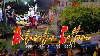 WUUN NURAN 2023 || BALAWELIN CULTURE